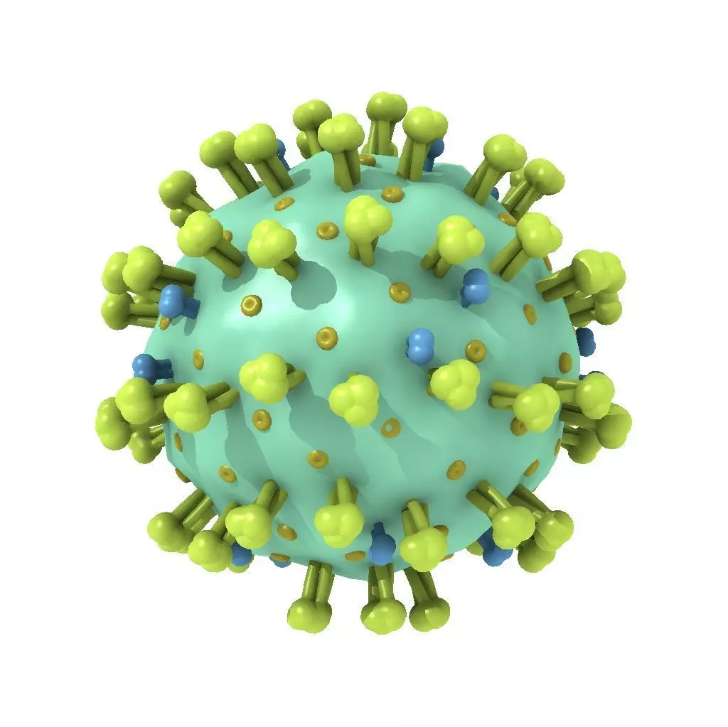 Coronavirus 3D model_0