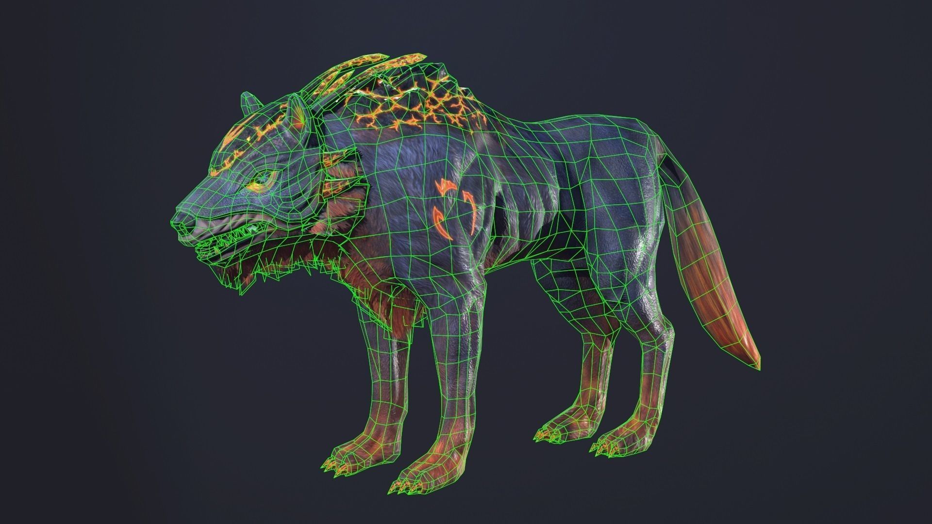 LavaWolf wolf Low-poly 3D model_2