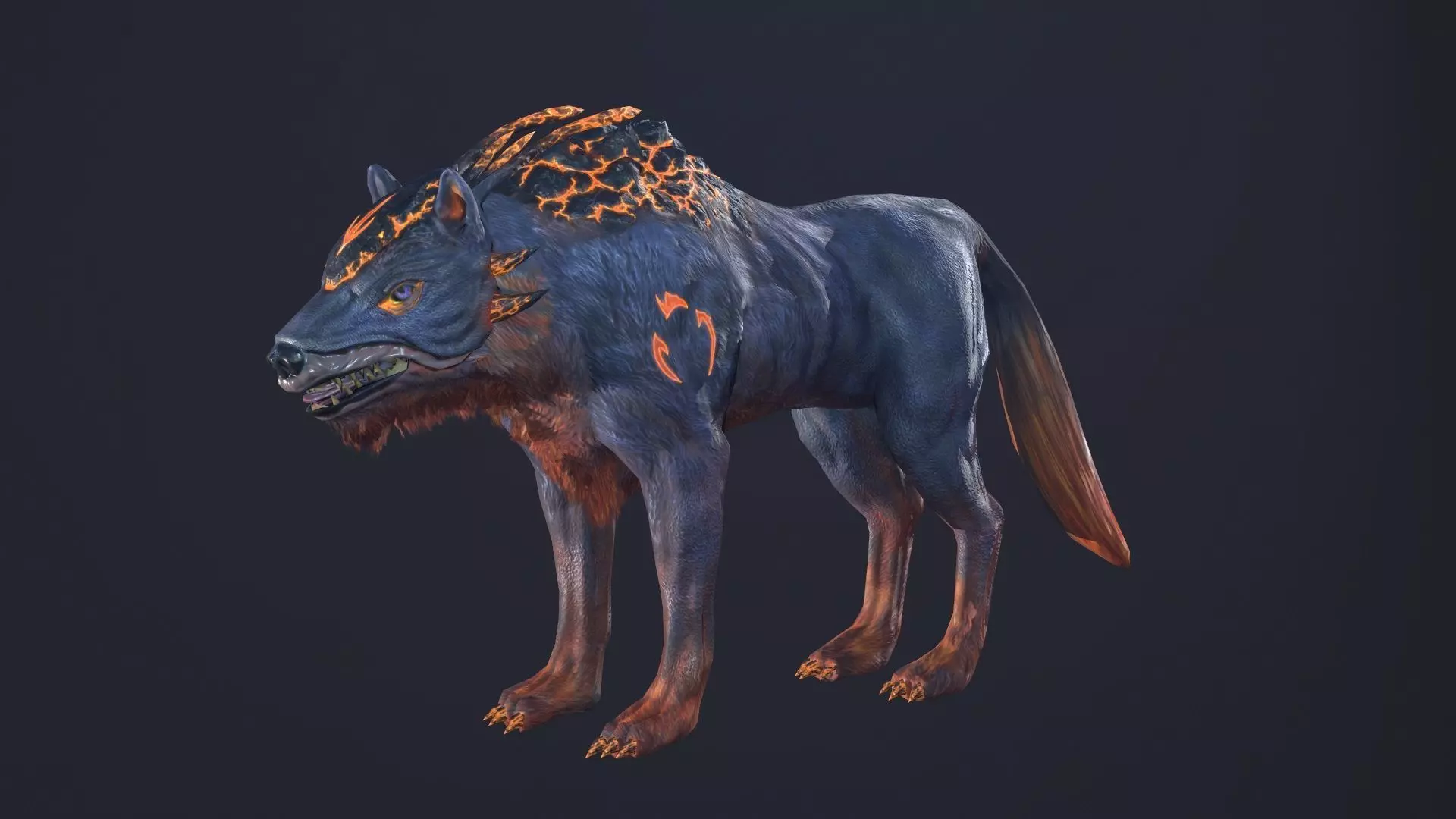 LavaWolf wolf Low-poly 3D model_0