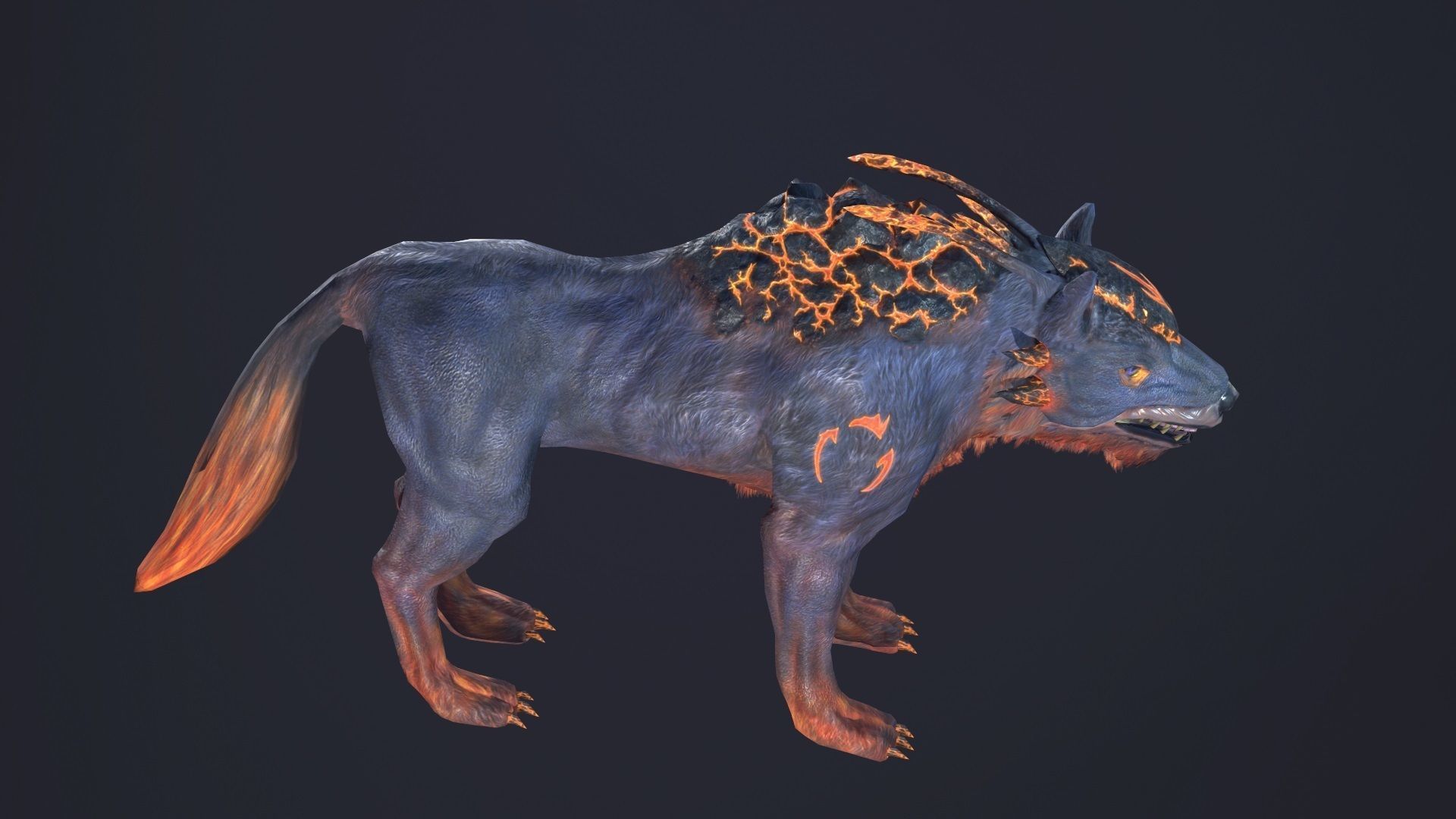 LavaWolf wolf Low-poly 3D model_6