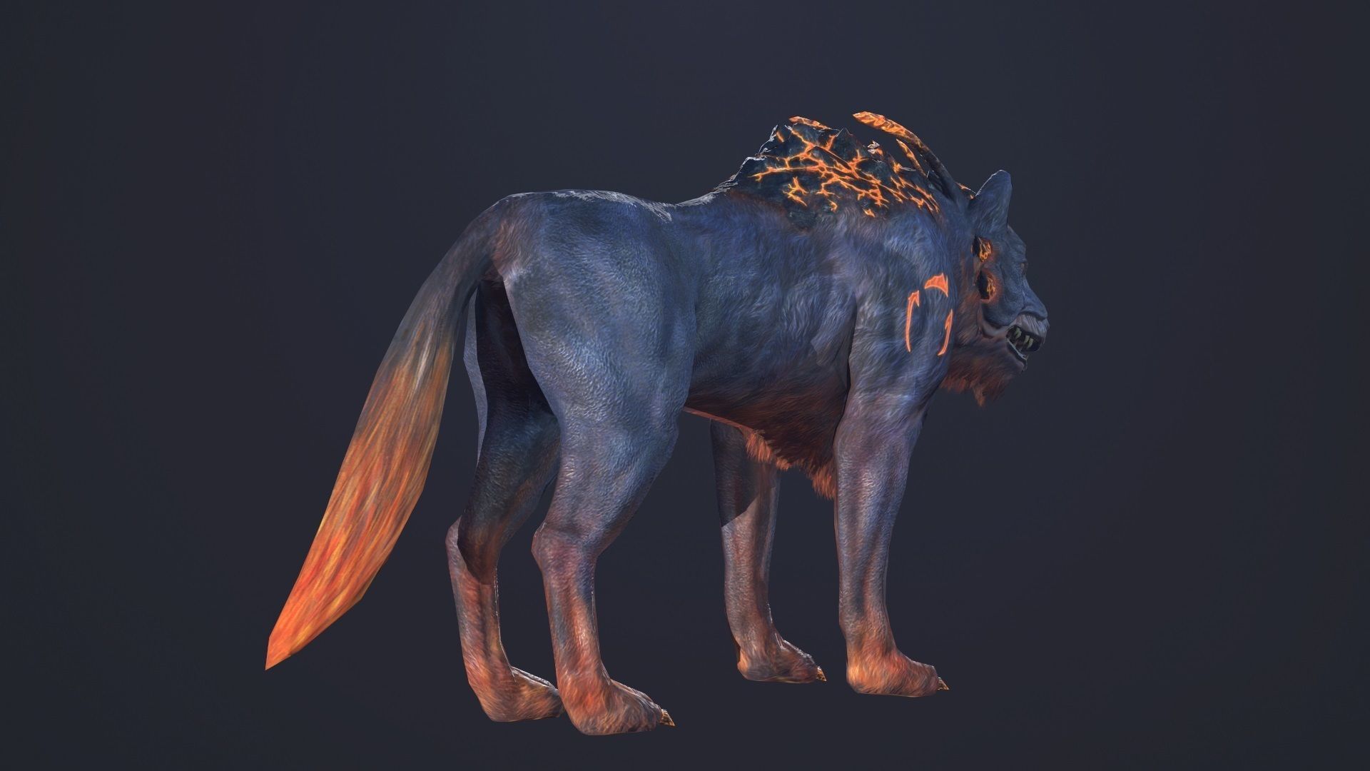 LavaWolf wolf Low-poly 3D model_4