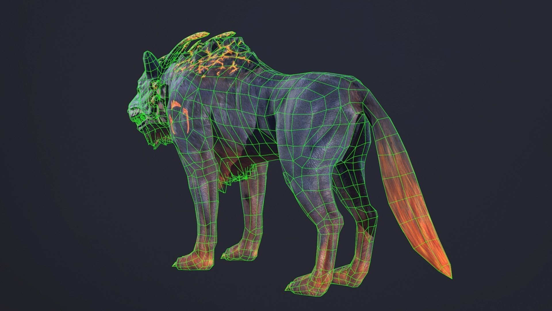 LavaWolf wolf Low-poly 3D model_7