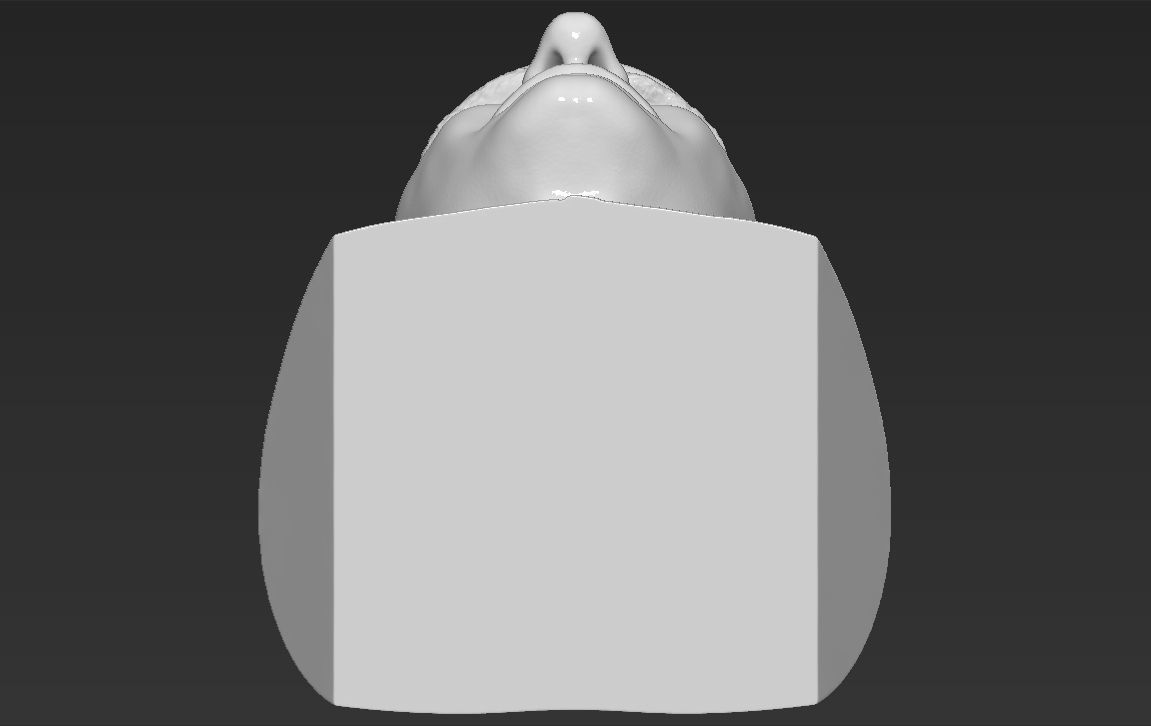 Roger Federer bust 3D printing ready stl obj formats 3D print model_24