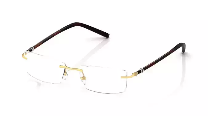 Eyeglasses for Men and Women 3D print model