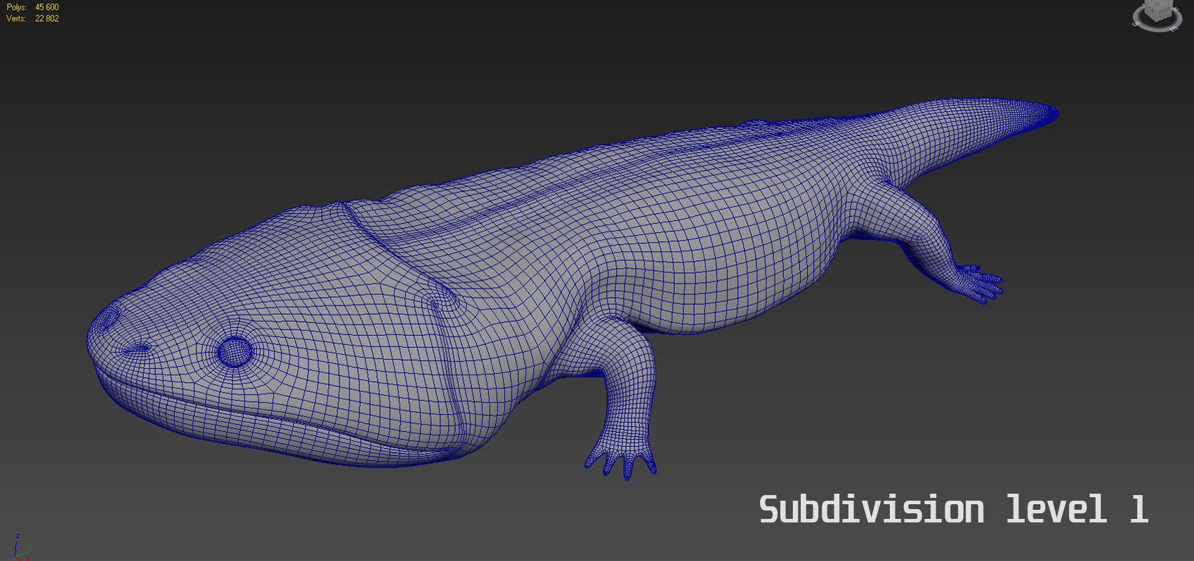 Siderops kehli Low-poly 3D model_6