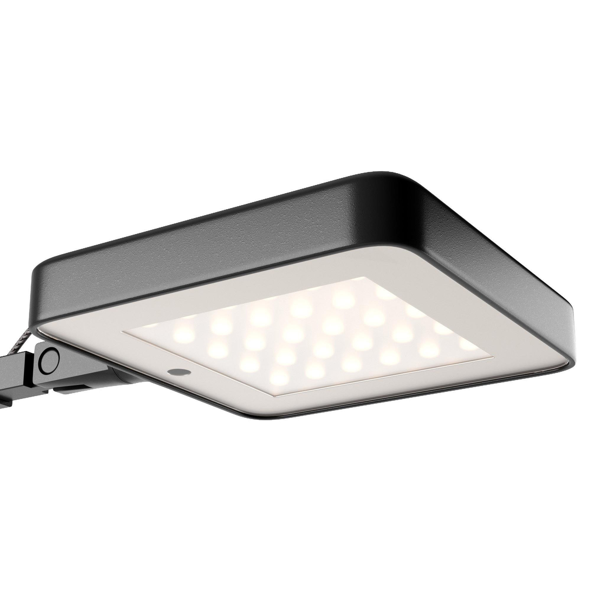 Kelvin led 3D model_3