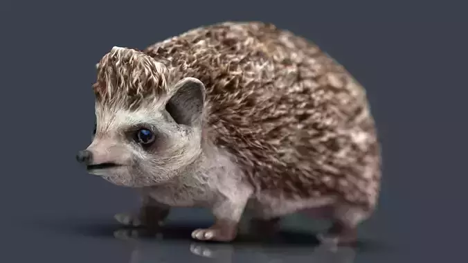 Hedgehog Low-poly 3D model