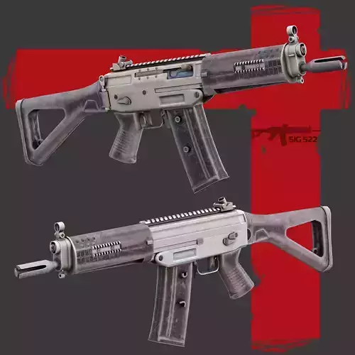 Sig522 Gun