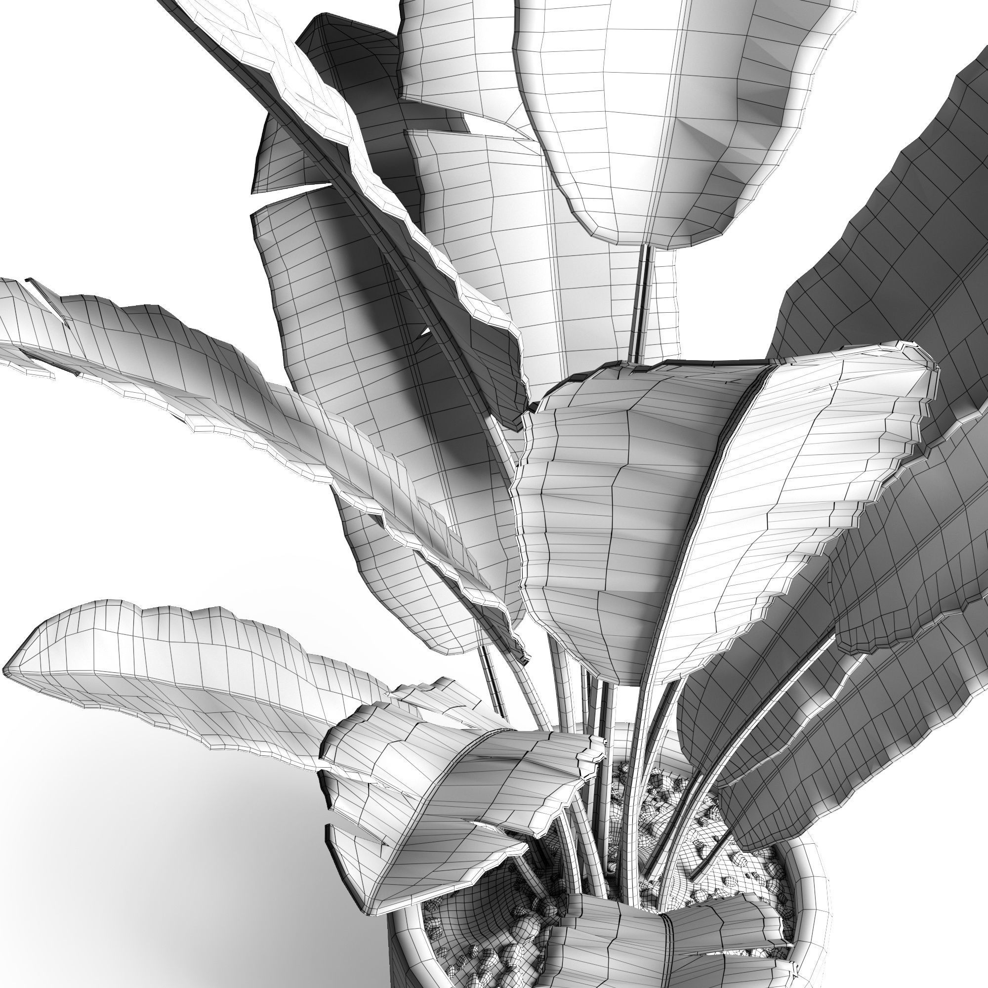 Banana tree 3D model_2