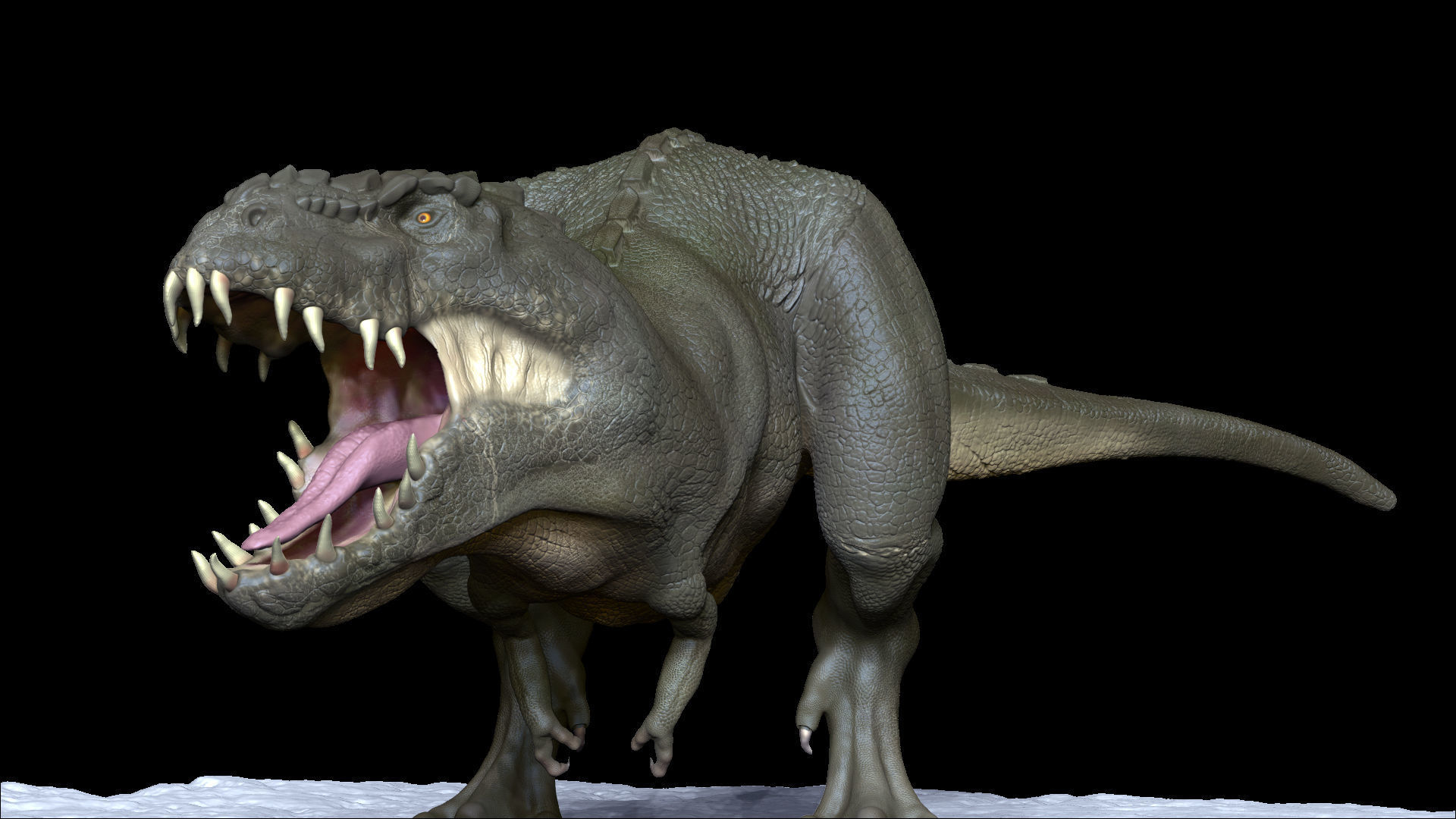 Realistic Dinosaur  T-Rex  tyrannosaurus Rex 3D print model_14
