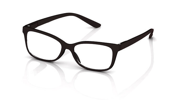 Eyeglasses for Men and Women 3D print model