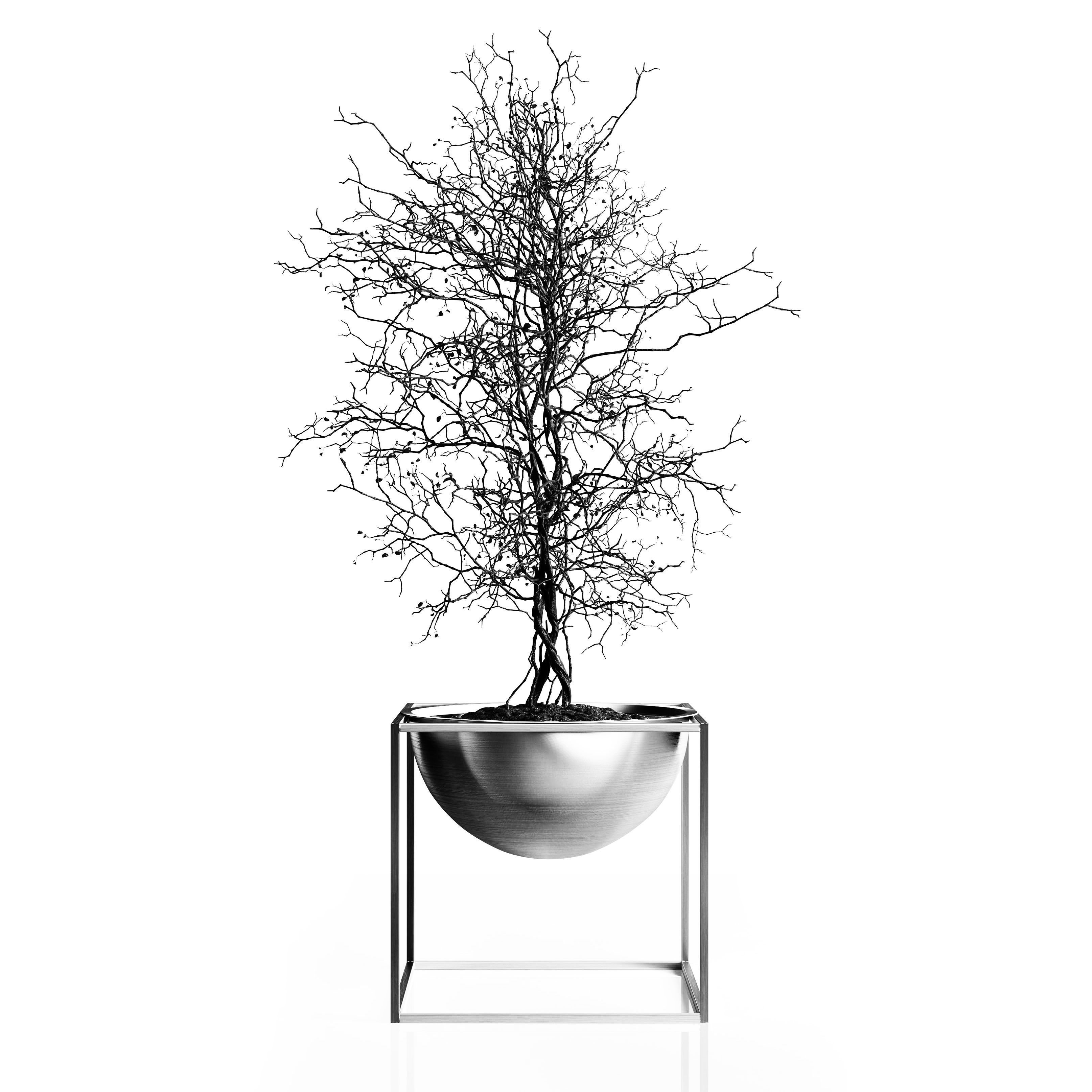 Branching tree 3D model_4