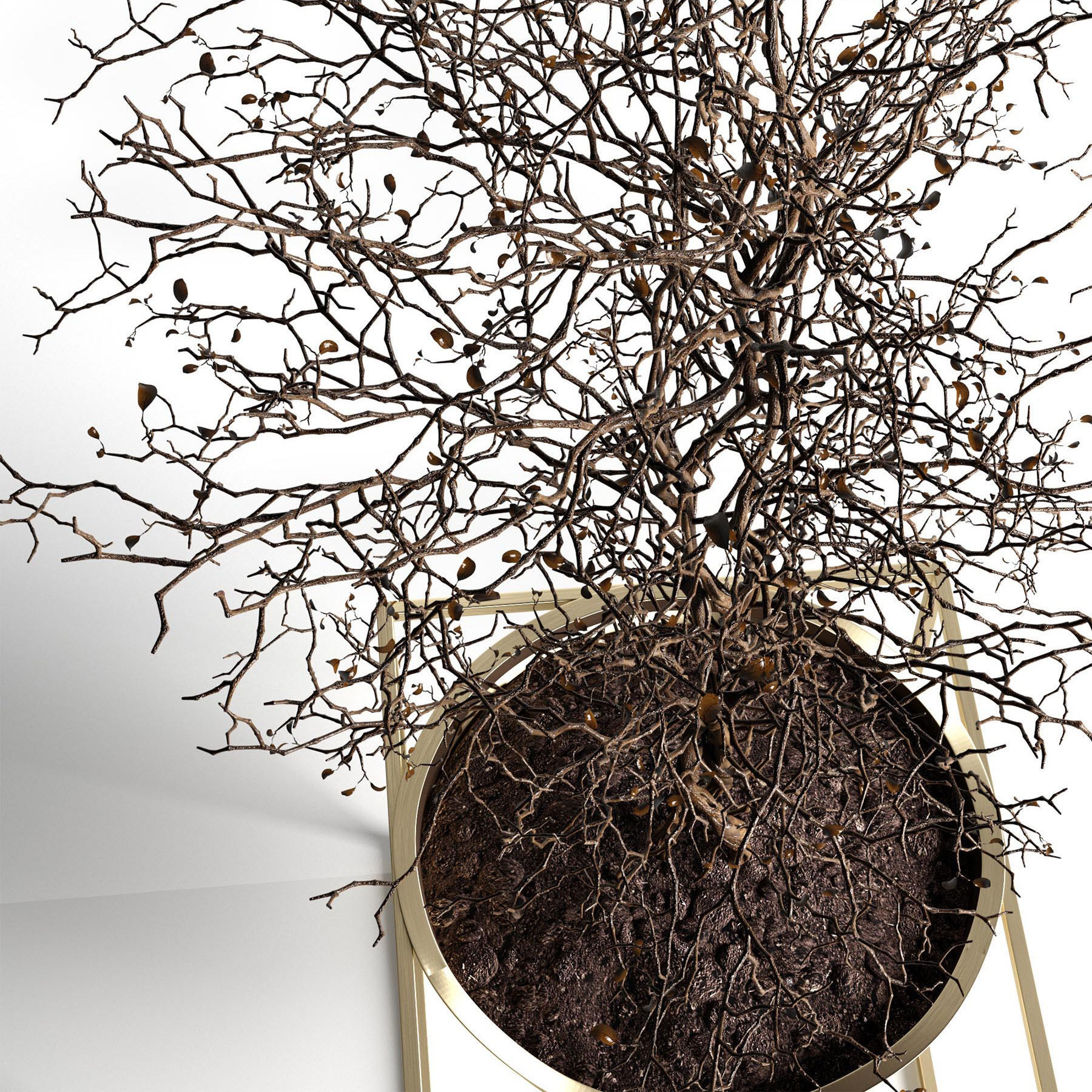 Branching tree 3D model_2