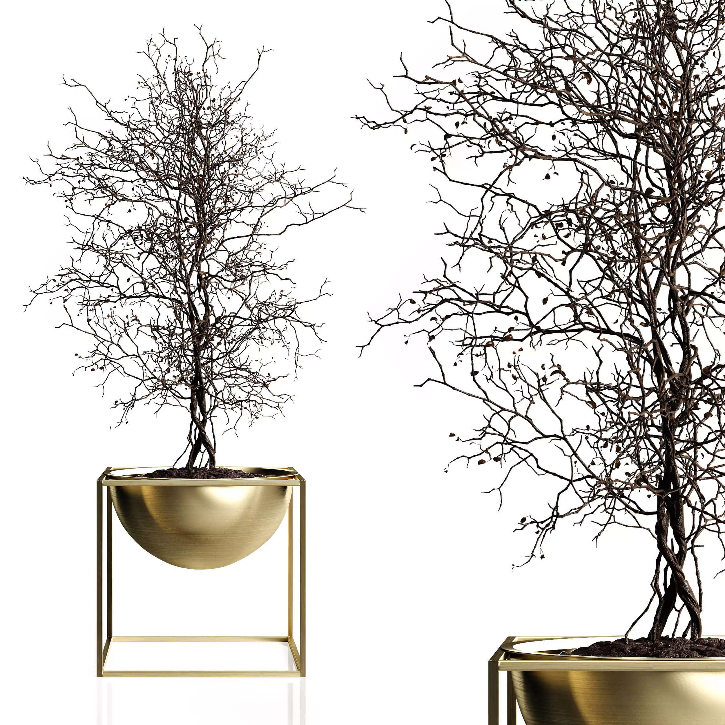 Branching tree 3D model_0