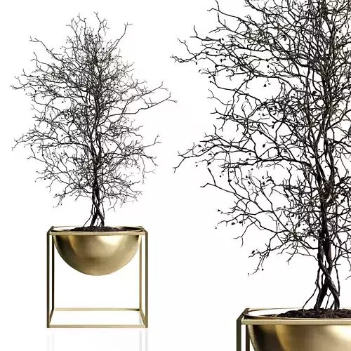 Branching tree 3D model