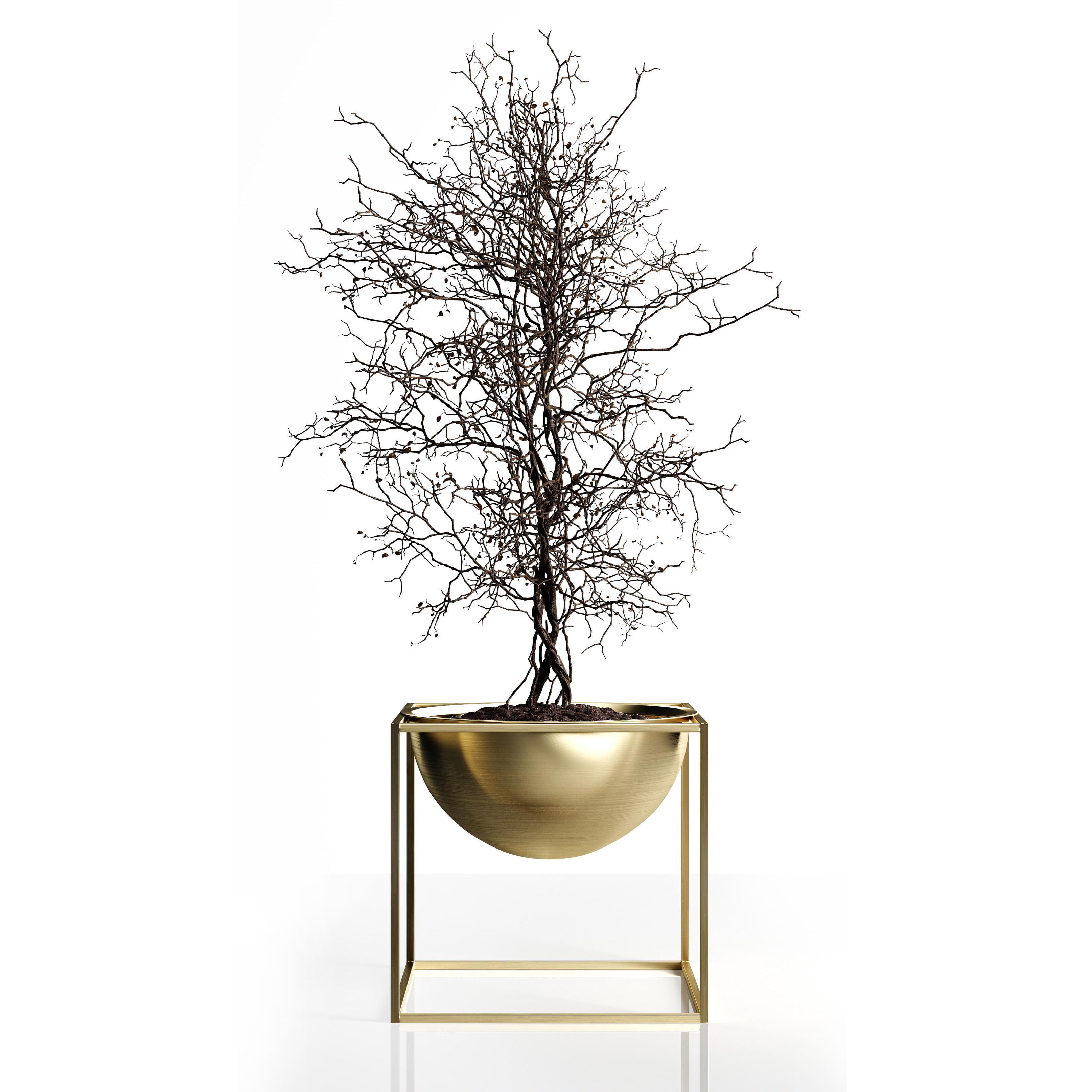 Branching tree 3D model_1