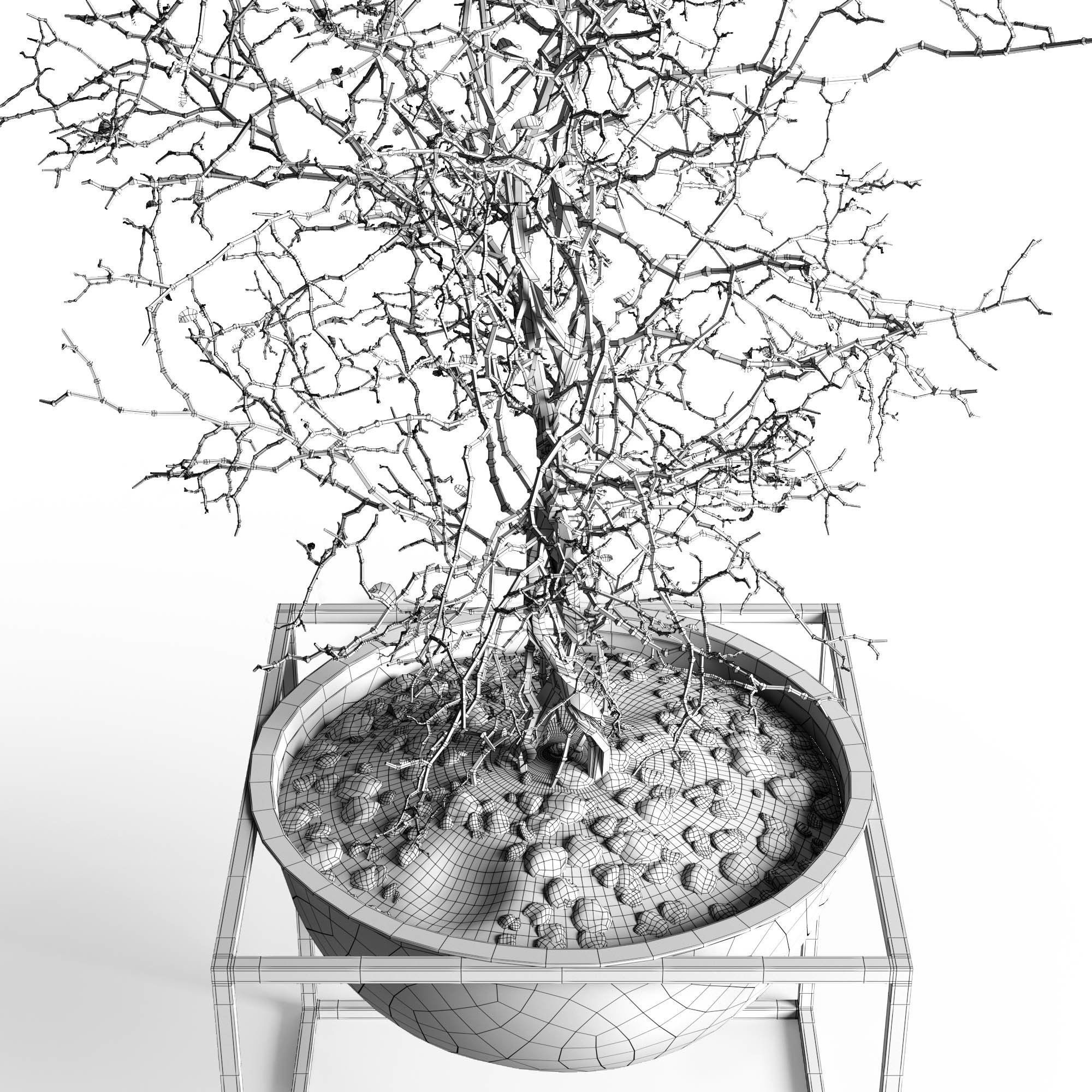 Branching tree 3D model_3
