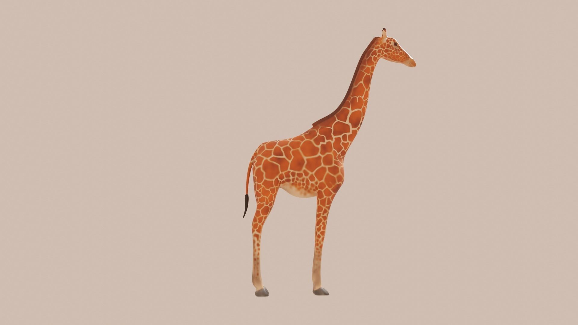 Giraf handpainted not rigged Low-poly 3D model_5