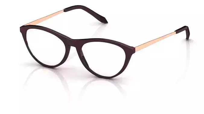 Eyeglasses for Men and Women