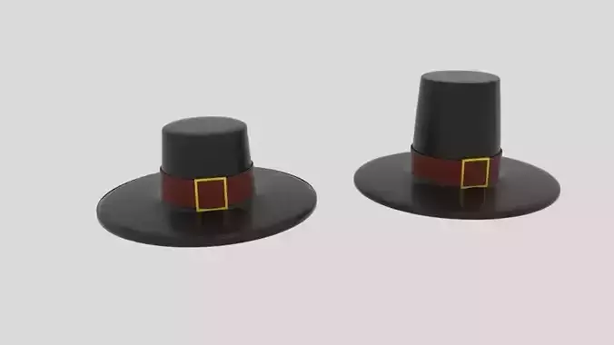 Pilgrim Hat 