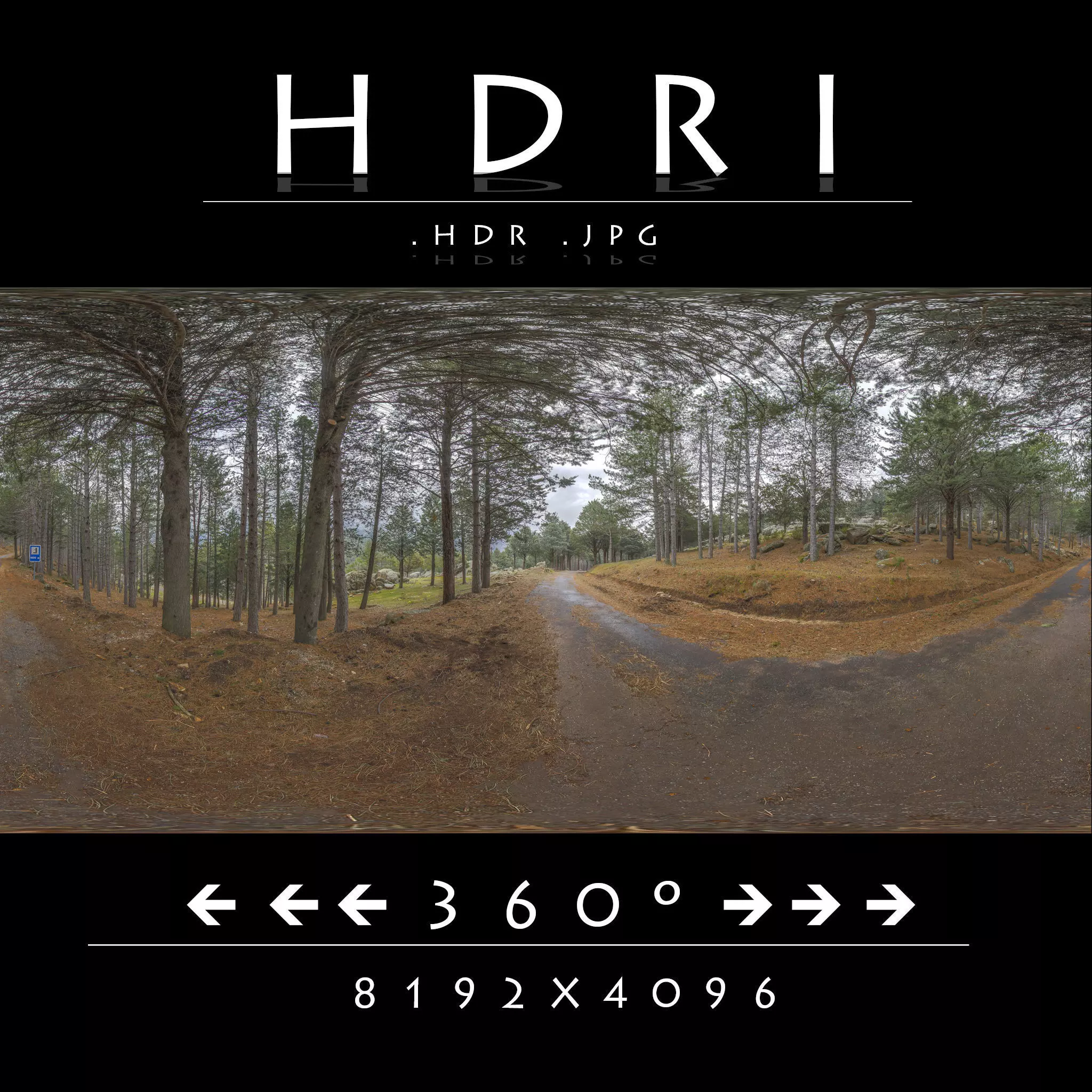 HDR ROAD FOREST  2 3D model_0