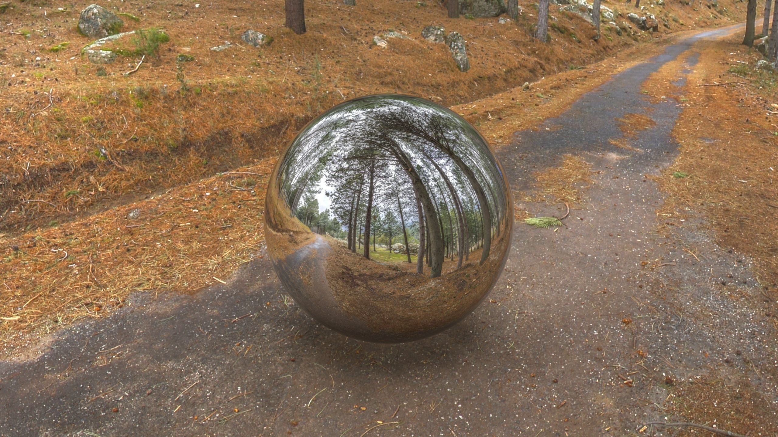 HDR ROAD FOREST  2 3D model_2