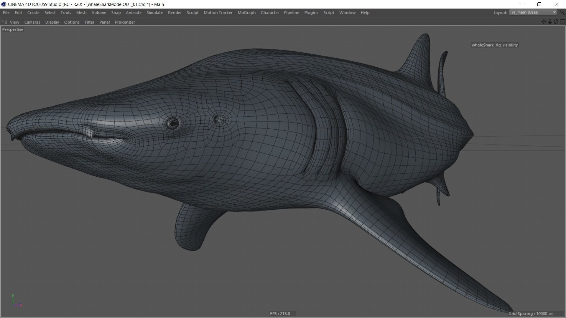 Whale shark rigged and animated for Cinema 4d Low-poly 3D model_16