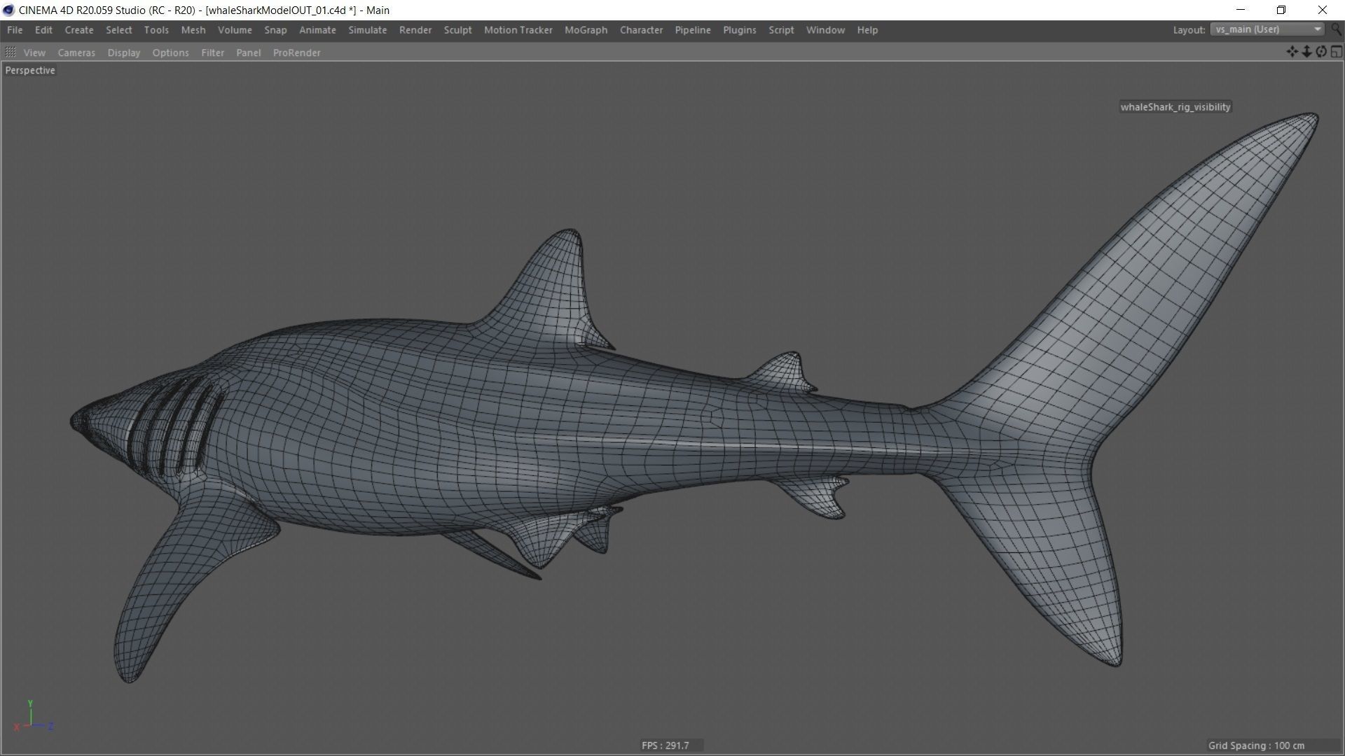 Whale shark rigged and animated for Cinema 4d Low-poly 3D model_17