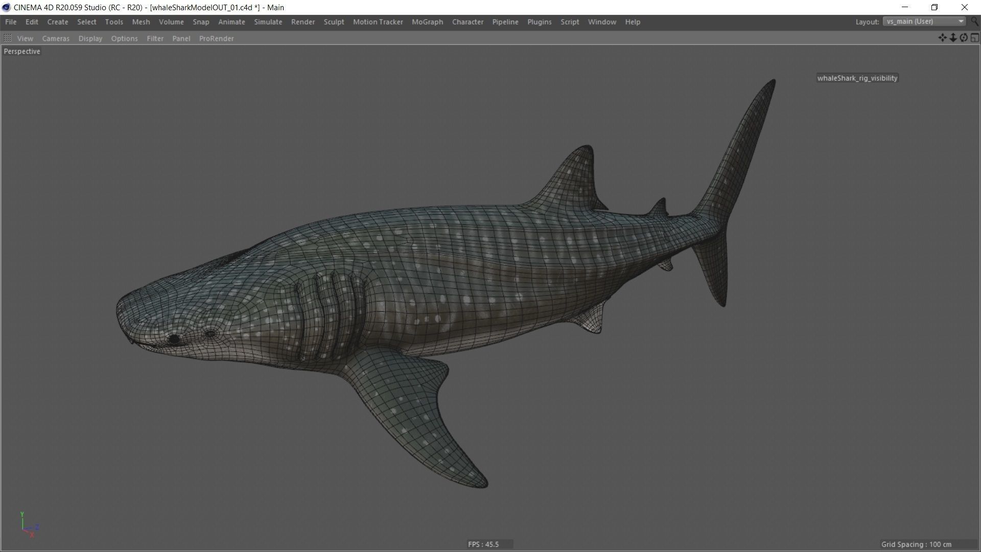 Whale shark rigged and animated for Cinema 4d Low-poly 3D model_23