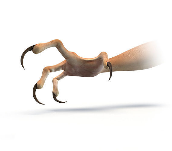 Scary Four-fingered Hand Low-poly 3D model