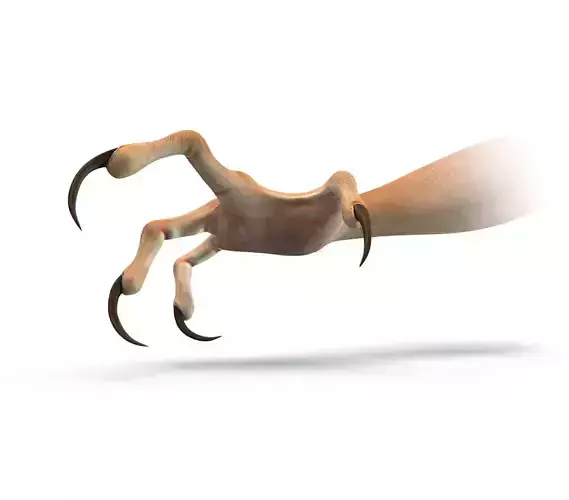 Scary Four-fingered Hand