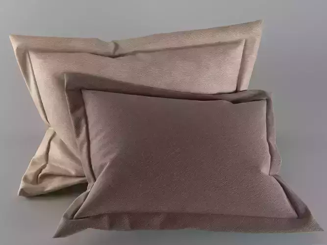 Pillows 3D model pair of