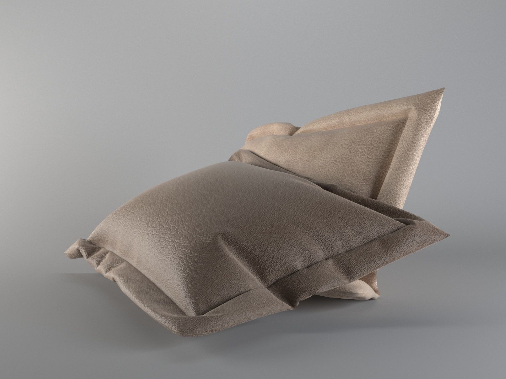 Pillows 3D model pair of 3D model_1