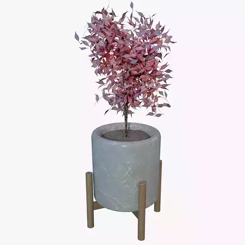 Office Plant 3D model