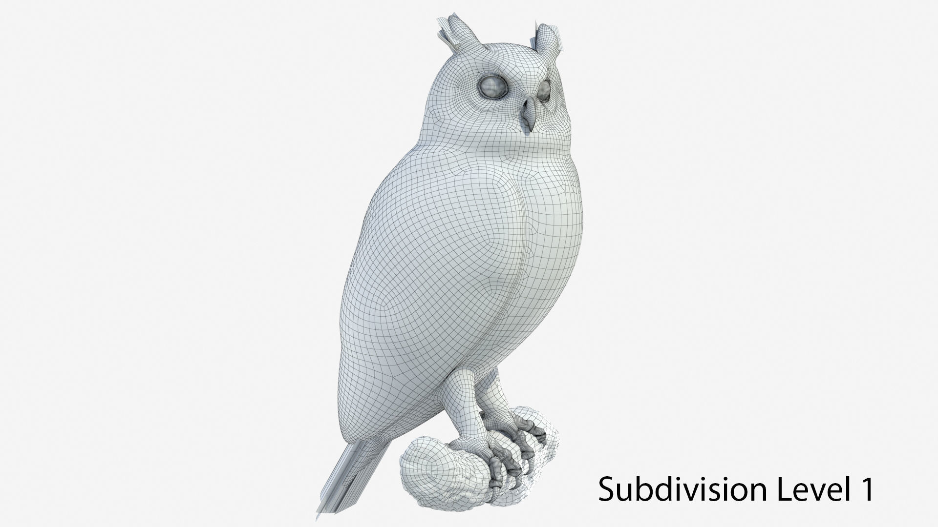 Great Horned Owl 3D model_13