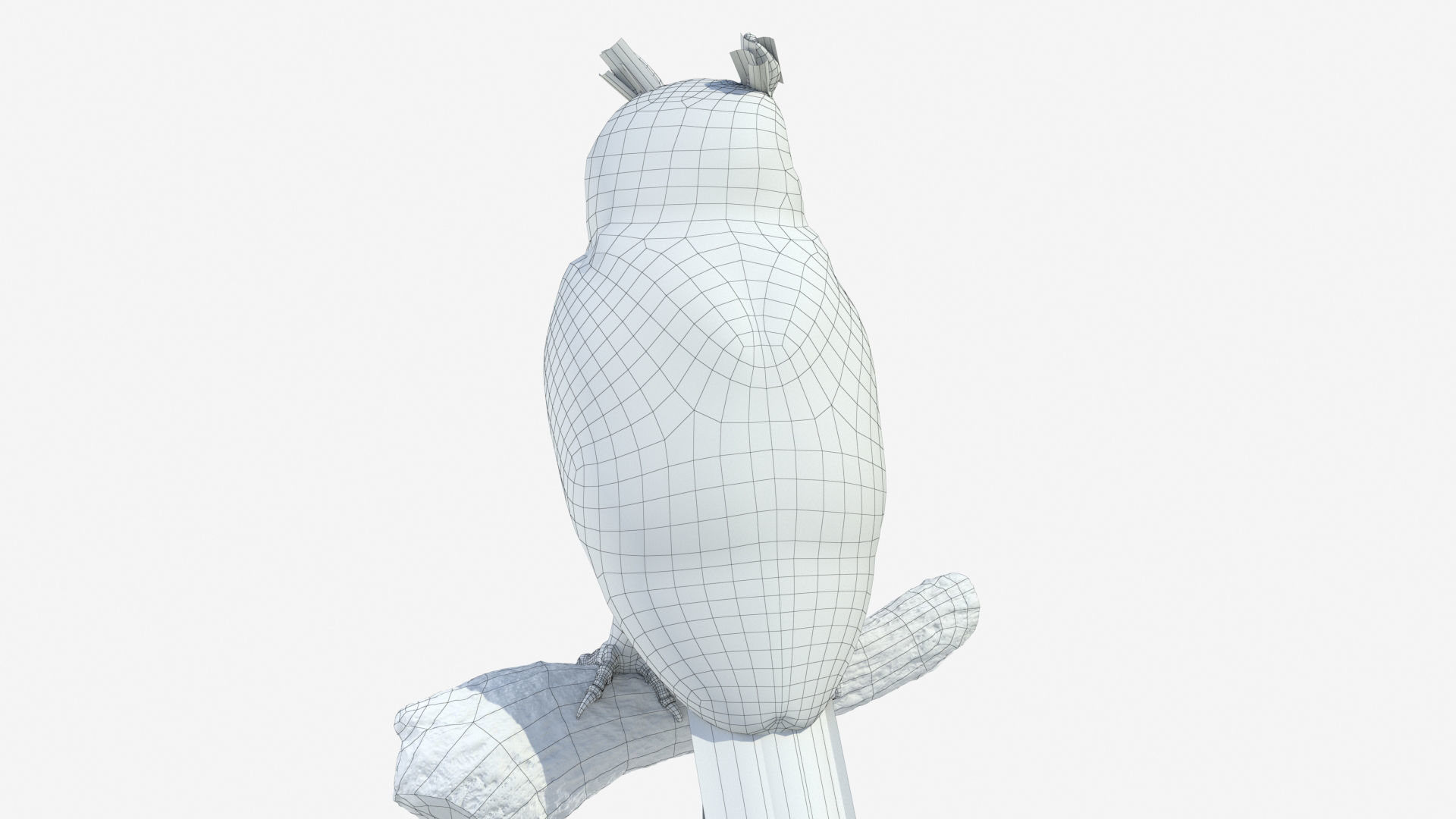 Great Horned Owl 3D model_9