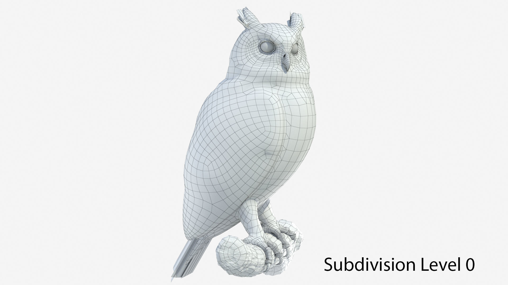 Great Horned Owl 3D model_12