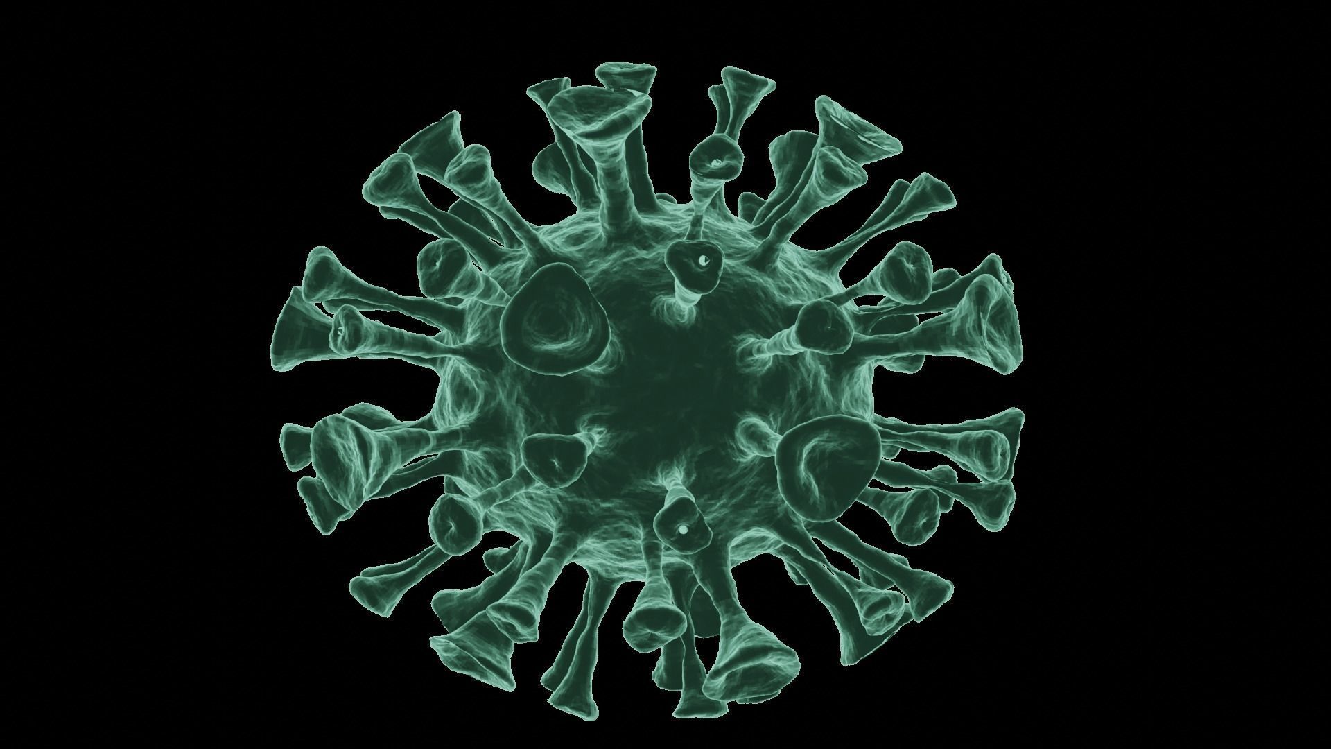 Corona Virus 3d Model 3D model_17