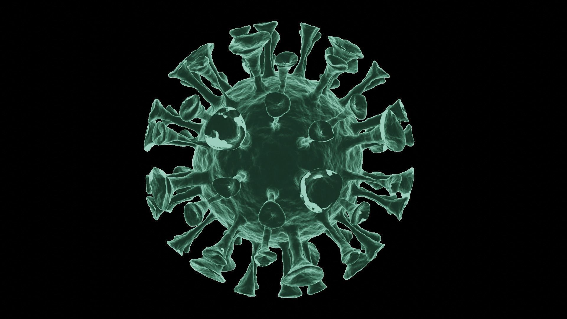 Corona Virus 3d Model 3D model_46