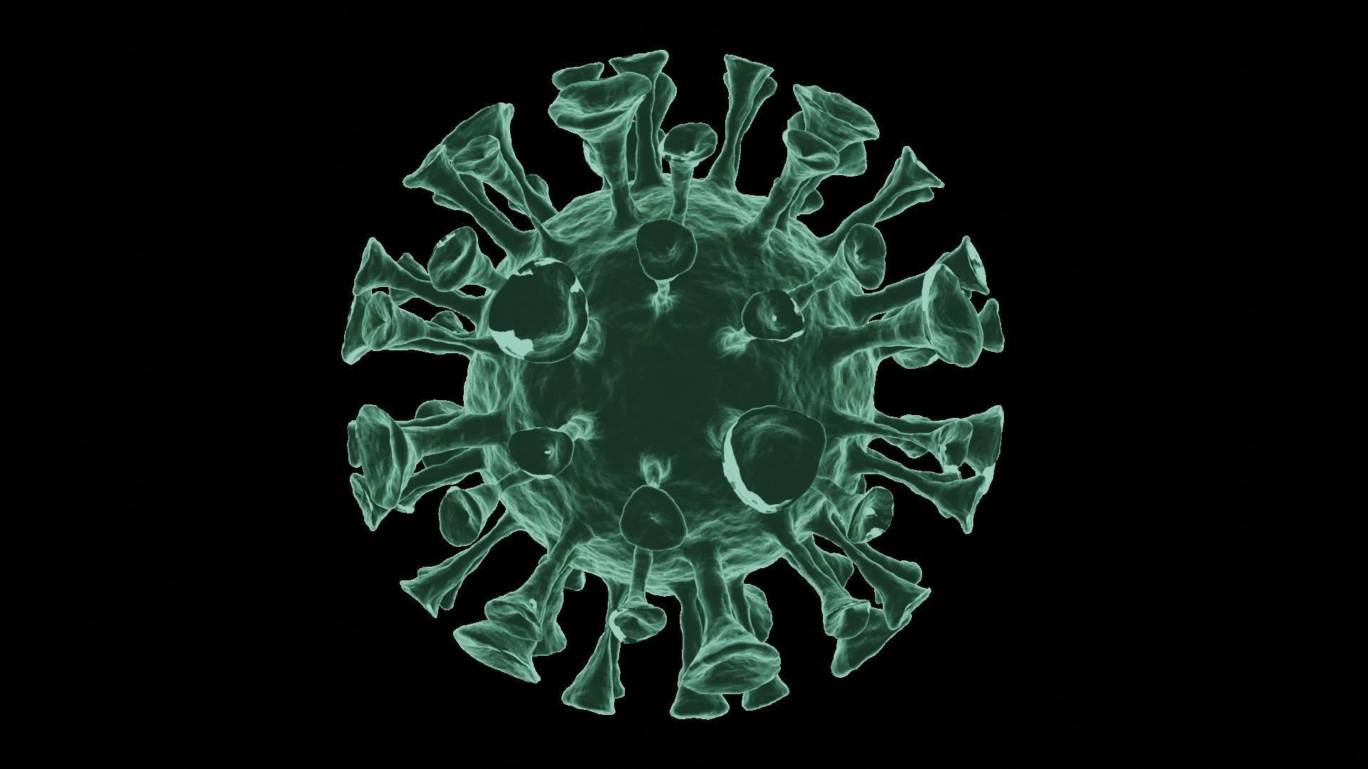 Corona Virus 3d Model 3D model_44