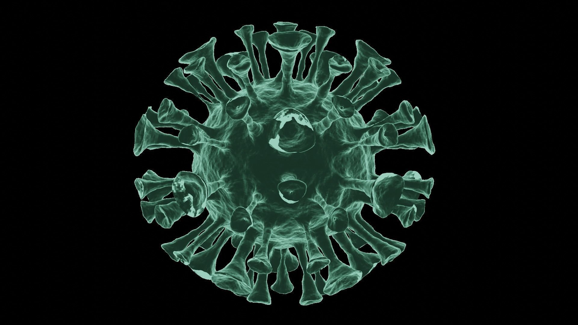 Corona Virus 3d Model 3D model_32