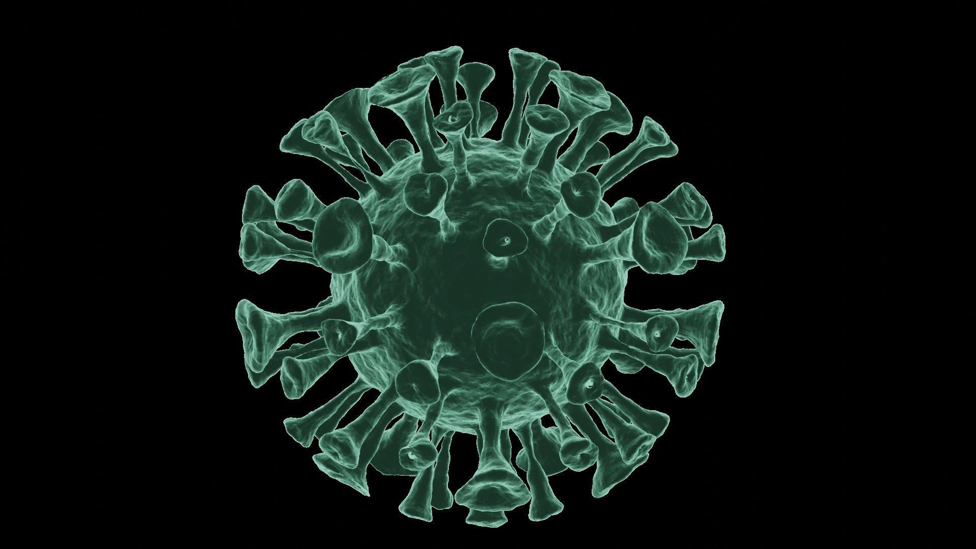Corona Virus 3d Model 3D model_40