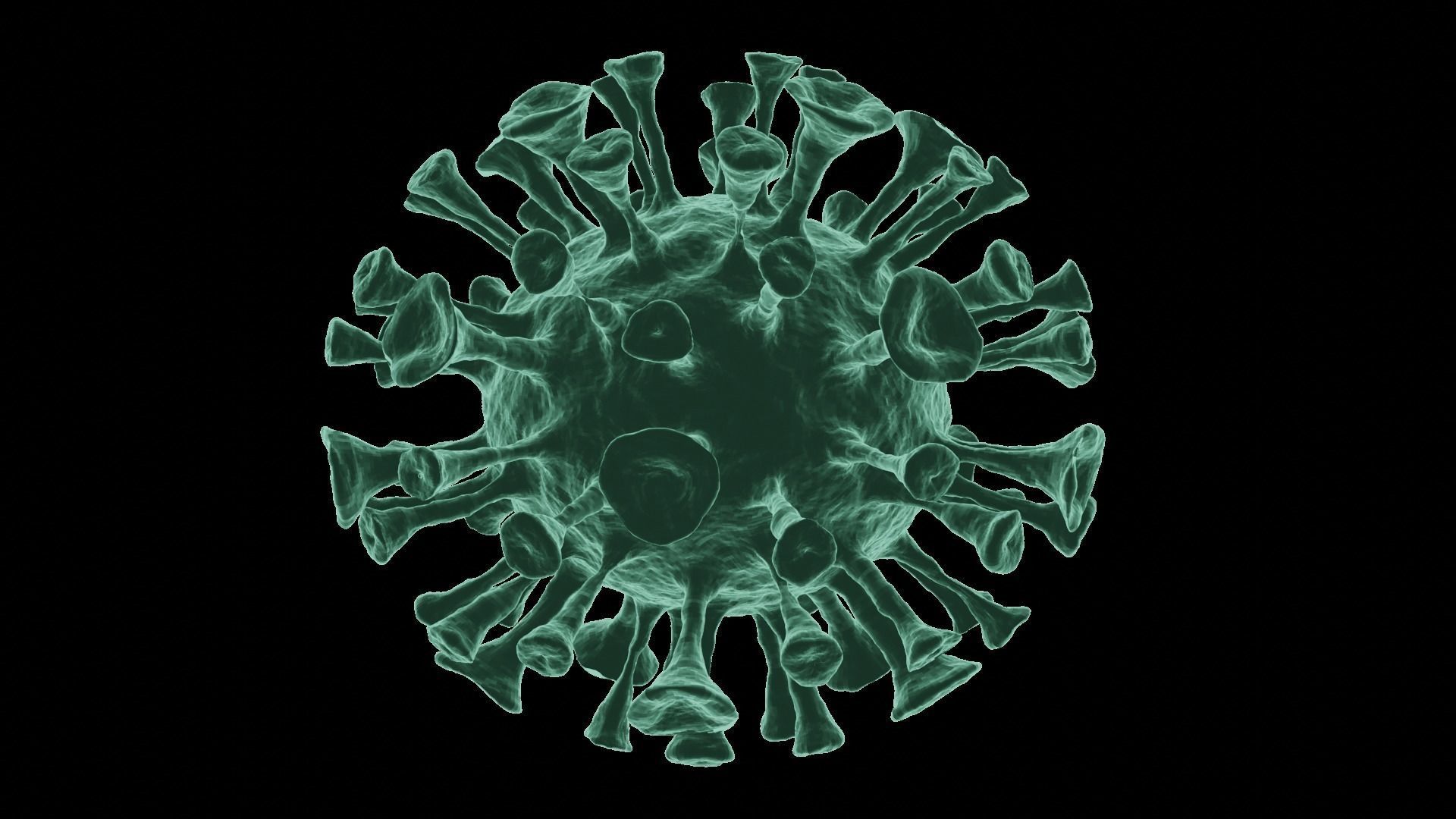 Corona Virus 3d Model 3D model_62