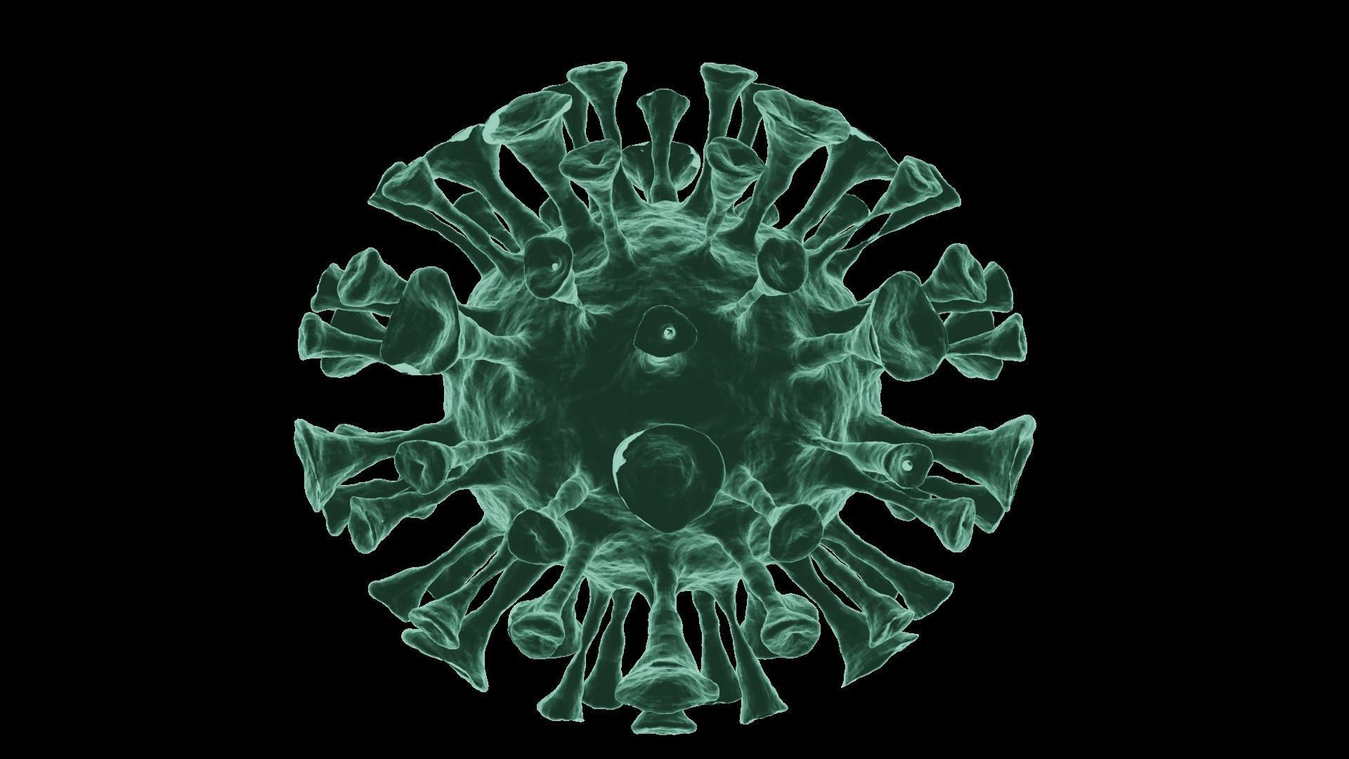 Corona Virus 3d Model 3D model_7