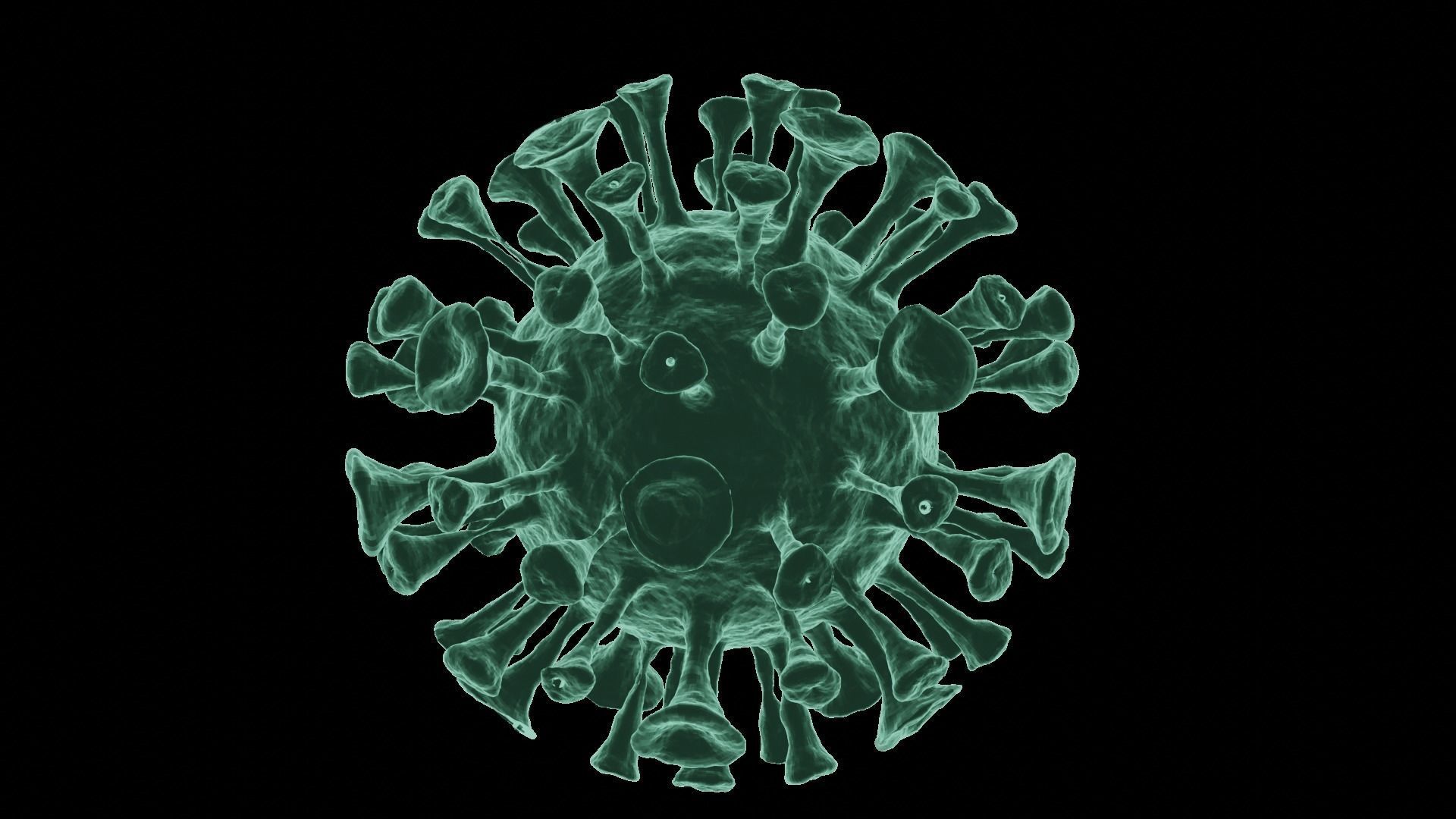 Corona Virus 3d Model 3D model_36