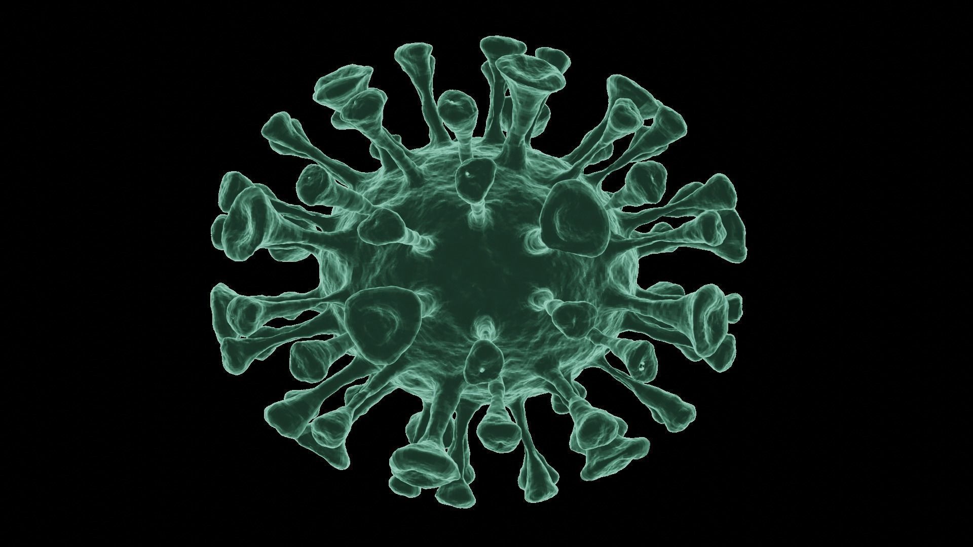 Corona Virus 3d Model 3D model_12