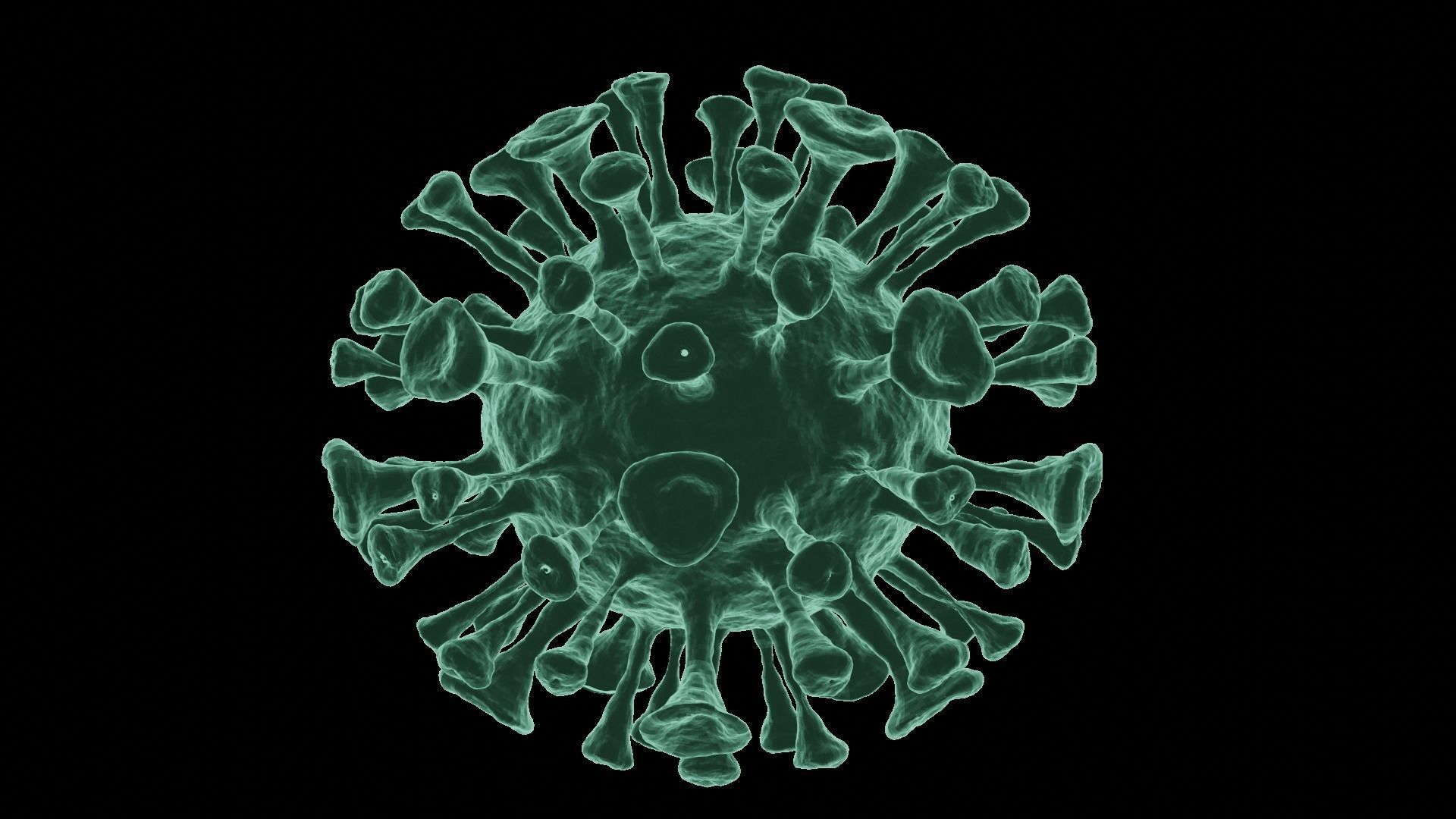 Corona Virus 3d Model 3D model_23