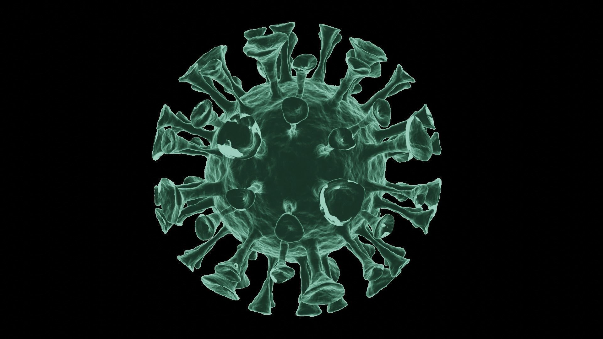 Corona Virus 3d Model 3D model_45