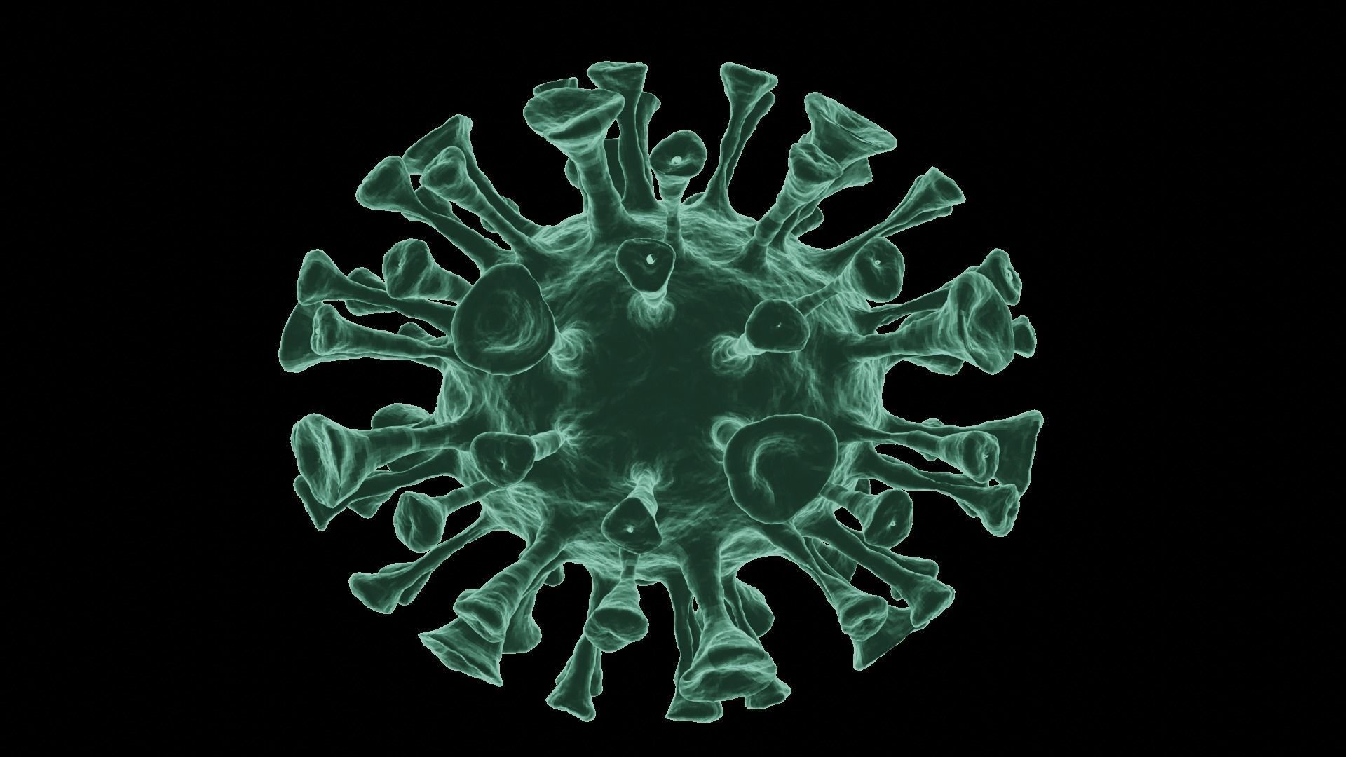 Corona Virus 3d Model 3D model_16