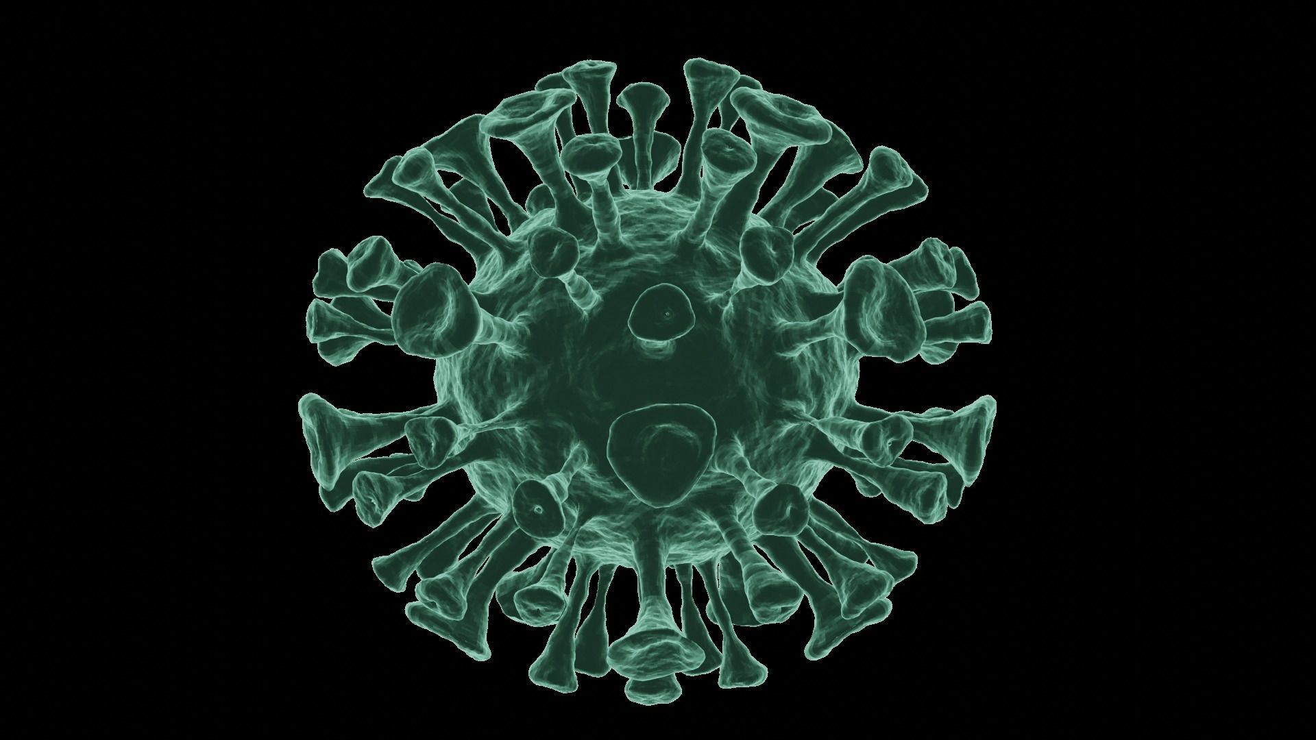 Corona Virus 3d Model 3D model_24